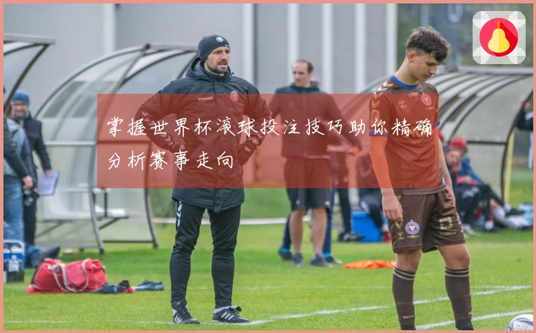 掌握世界杯滚球投注技巧助你精确分析赛事走向