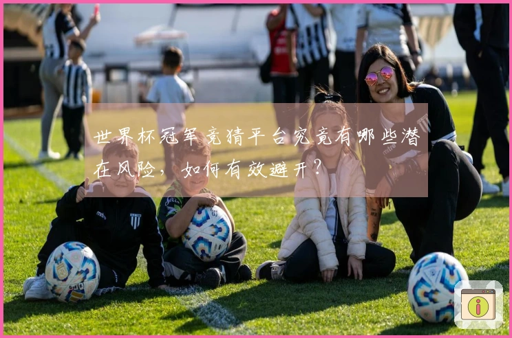 世界杯冠军竞猜平台究竟有哪些潜在风险，如何有效避开？