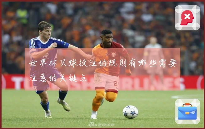 世界杯买球投注的规则有哪些需要注意的关键点